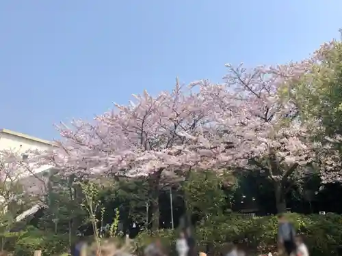 おりひめ神社の自然