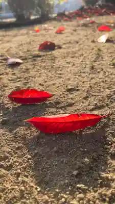 余部神社遥拝所(大阪府)