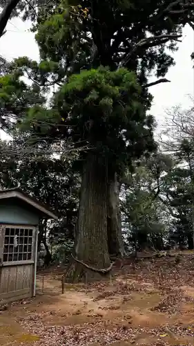 白鳥神社(千葉県)