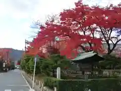 大覚寺(京都府)