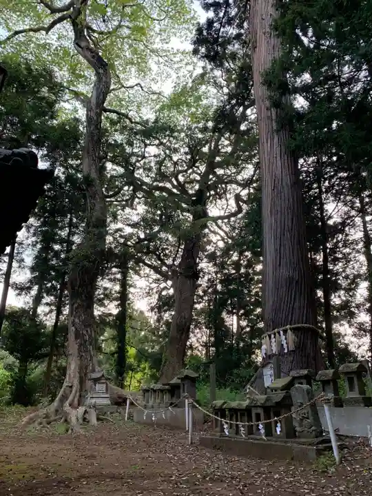 香取神社(千葉県)