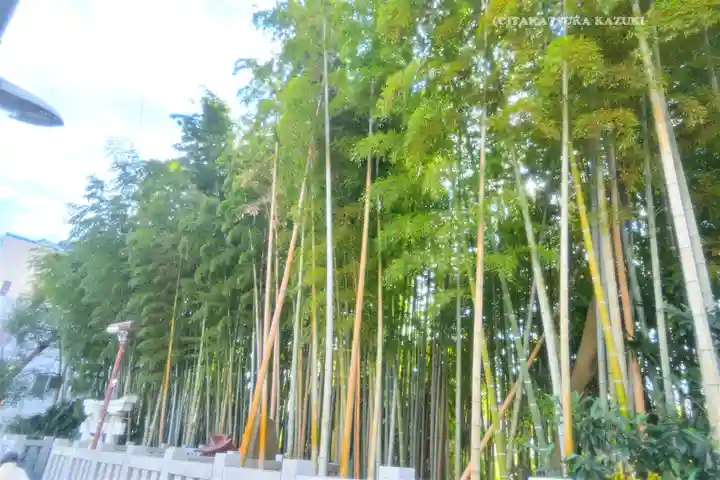 不知森神社(千葉県)