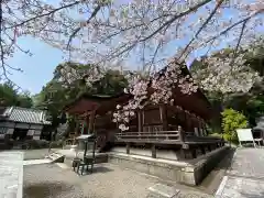 長弓寺の本殿