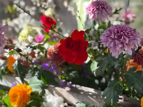 彌彦神社　(伊夜日子神社)の手水舎