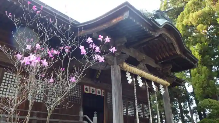 豊景神社の本殿・本堂