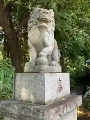 馬場氷川神社の狛犬