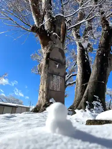 木留神社の自然