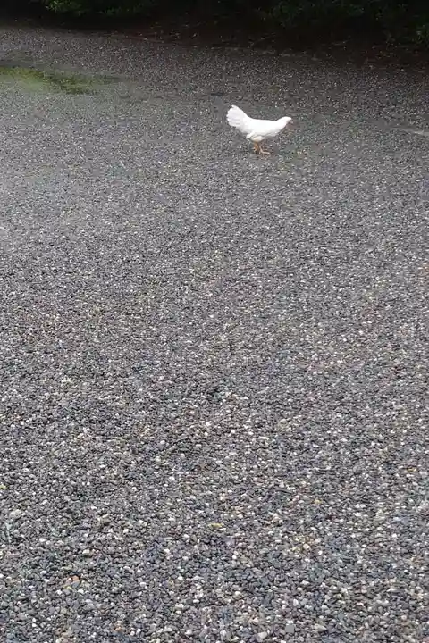 伊勢神宮外宮(豊受大神宮)(三重県)