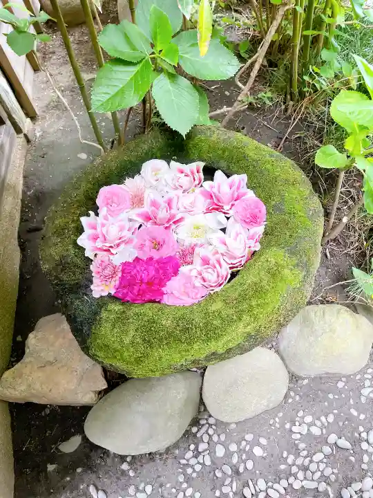 菅生神社の手水舎