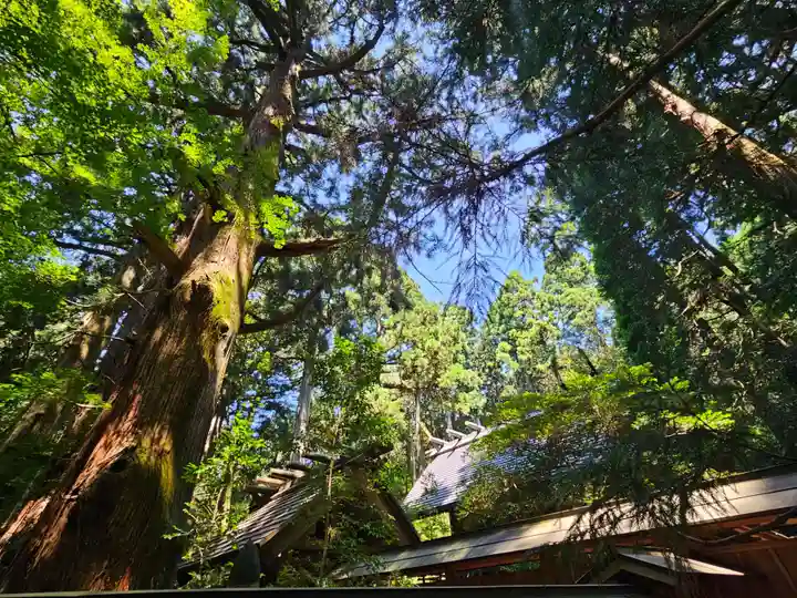 赤城神社(三夜沢町)(群馬県)