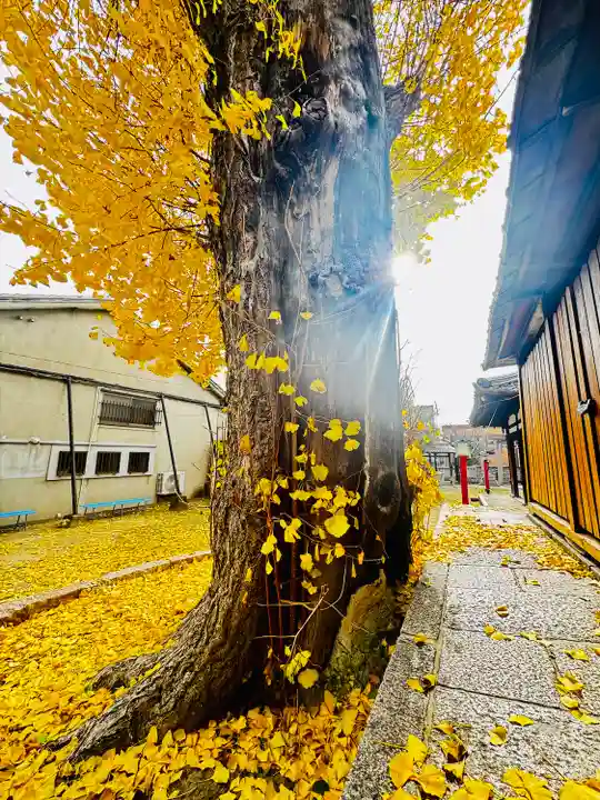 宇賀神社(京都府)