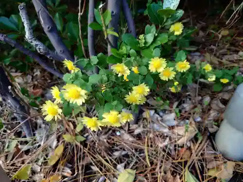 開運稲荷神社(新潟県)