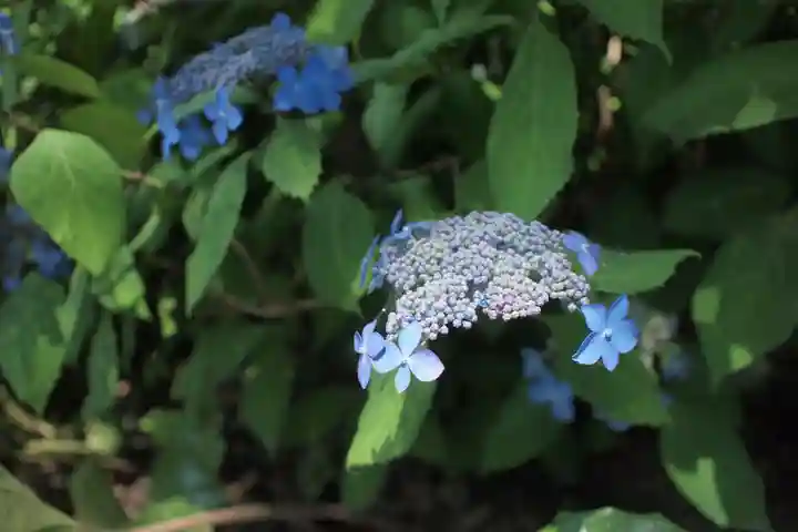 世良田東照宮の自然