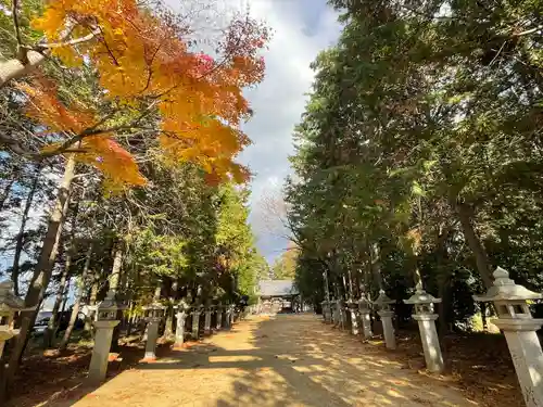 八幡神社(滋賀県)
