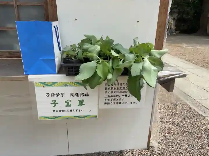 香取神宮(千葉県)