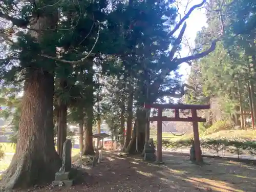 日吉神社の鳥居