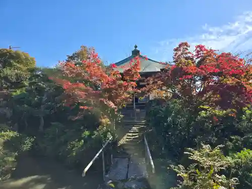 宝瓶院(大阪府)