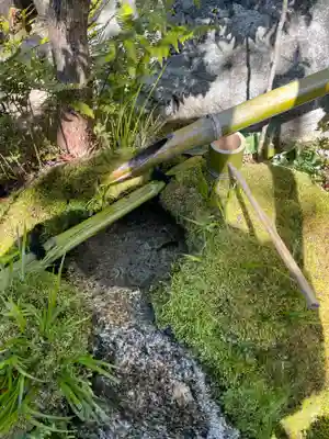 退蔵院(京都府)