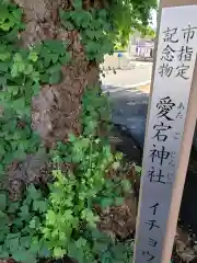 愛宕神社の建物その他