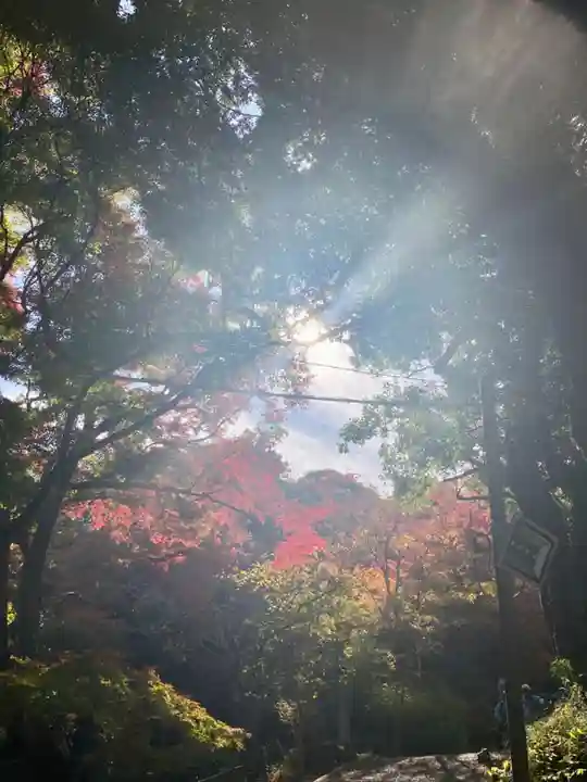笠置寺(京都府)