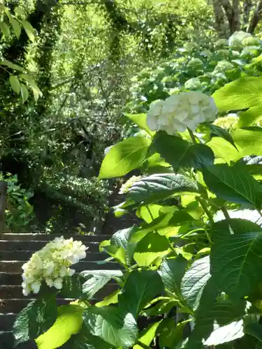 長谷寺(神奈川県)