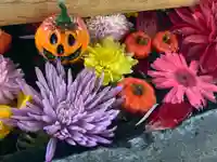 札幌護國神社の手水舎