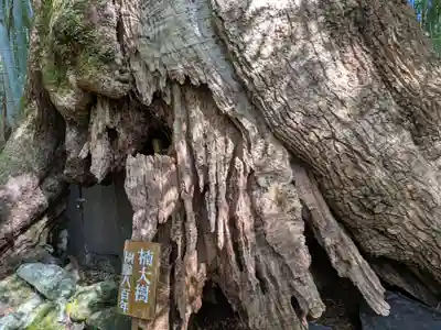 熊野那智大社(和歌山県)