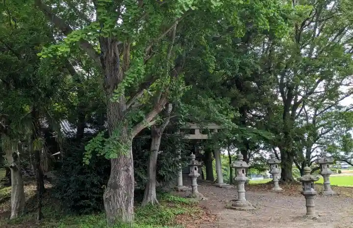 白山神社の{uncategorized: "未分類", other: "その他", undefined: "問題あり", building: "その他建物", grave: "お墓", sacred_gate: "鳥居", guardian: "狛犬", statue: "像", buddha: "仏像", history: "歴史", nature: "自然", garden: "庭園", animal: "動物", pagoda: "塔", temizu: "手水舎", mountain_gate: "山門・神門", sanctuary: "本殿・本堂", subordinate: "末社・摂社", art: "芸術", scenery: "景色", jizo: "地蔵", ema: "絵馬", goshuin: "御朱印", omikuji: "おみくじ", items: "授与品その他", amulet: "お守り", goshuincho: "御朱印帳", eats: "食事", festival: "お祭り", votive_dance: "神楽", shichigosan: "七五三参", wedding: "結婚式", experience: "体験その他", initially: "初詣", around: "周辺", anti_infection: "感染症対策"}
