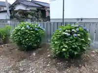 白山神社の自然