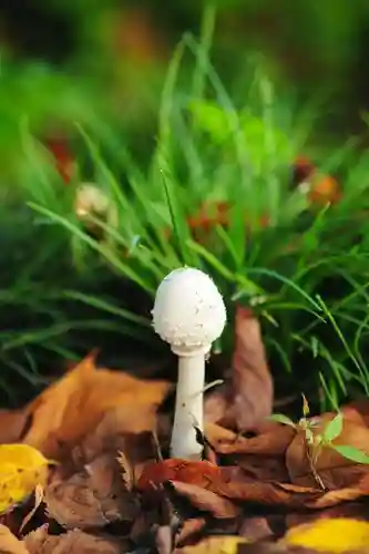 浄土寺(兵庫県)