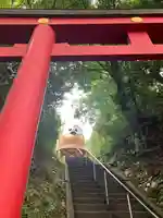 鷲子山上神社(栃木県)