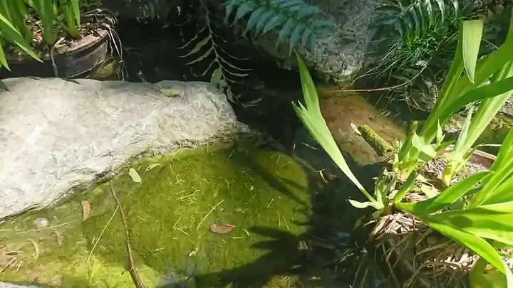 馬橋稲荷神社の自然