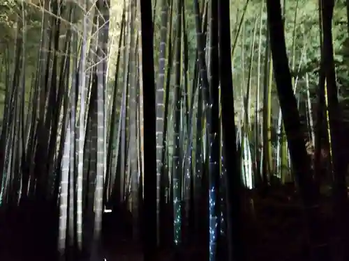 高台寺（高台寿聖禅寺・高臺寺）(京都府)