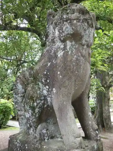 御霊神社（上御霊神社）の狛犬