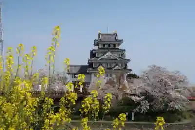 白髭神社(岐阜県)