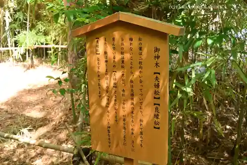 自由が丘熊野神社(東京都)