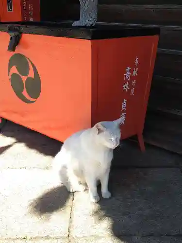 羽黒神社の動物