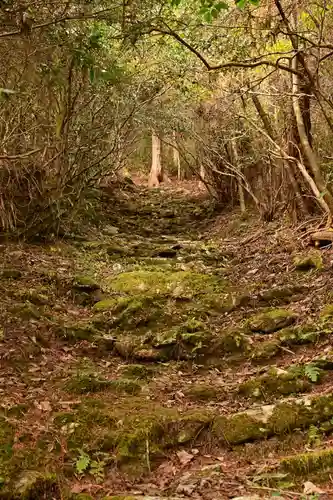 高峯神社(高知県)