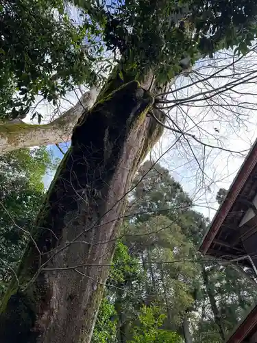 水分神社(滋賀県)