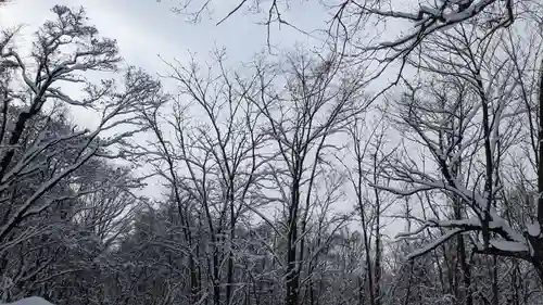 旭山稲荷金刀比羅神社の景色
