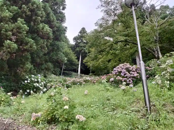 秋葉神社の自然