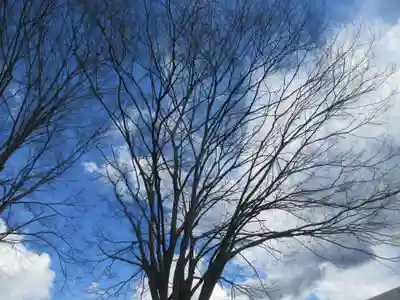 妙見宮(埼玉県)