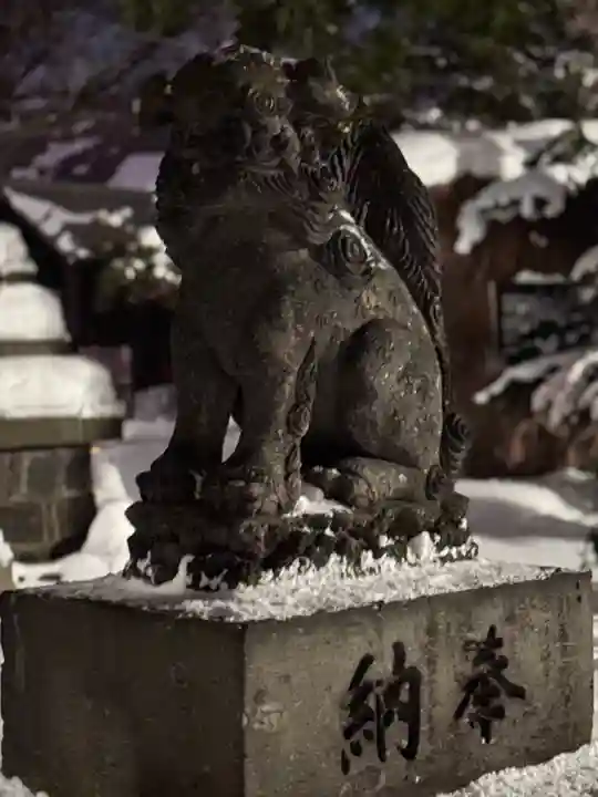 新琴似神社の狛犬