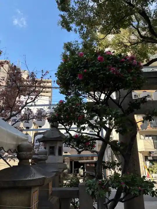 サムハラ神社の庭園
