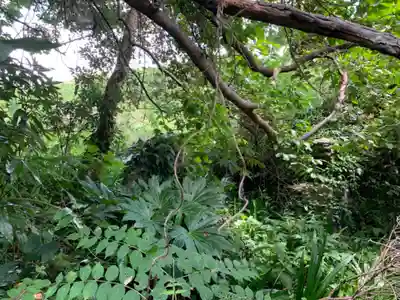 大山祇神社の自然