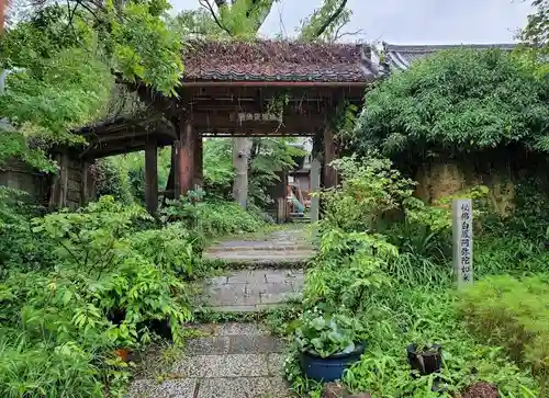 般若寺 ❁﻿コスモス寺❁の山門