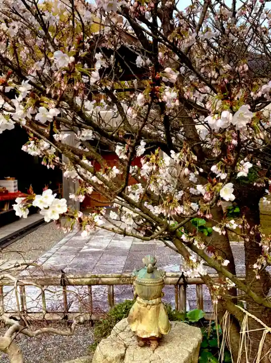 高龍寺(愛媛県)