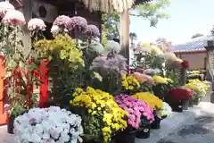 美奈宜神社(福岡県)