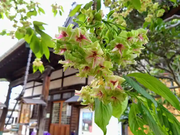 松應寺(愛知県)
