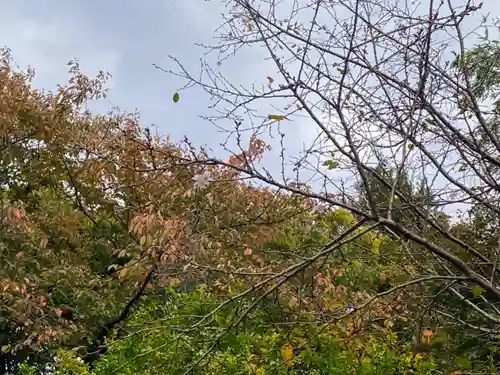 法明寺(東京都)